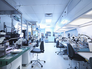 VCG41556415453.jpg