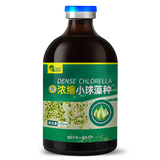 浓缩小球藻种/100ml/瓶【加冰袋】/泡沫箱