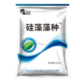 硅藻藻种/200g/袋